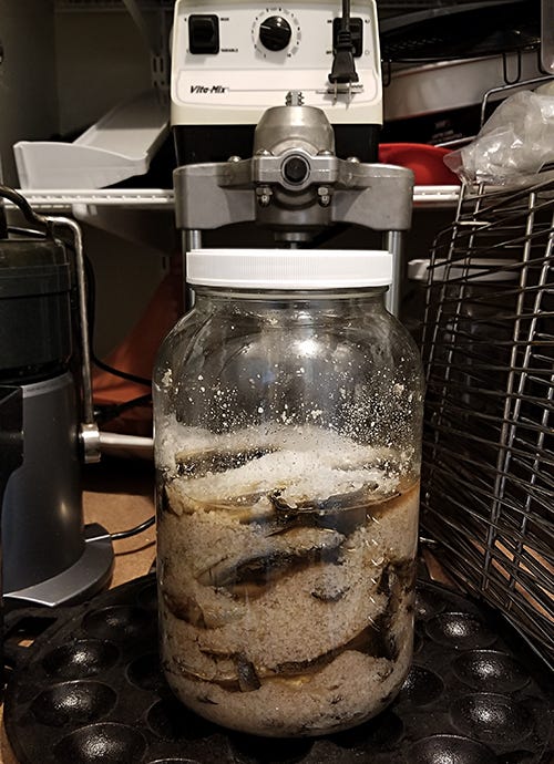 Fish Sauce from Scratch—Part One by Leela Punyaratabandhu