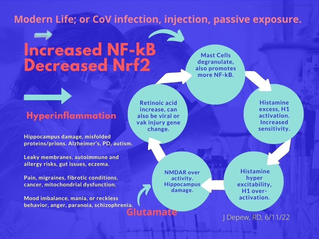 Hyperinflammation a positive feedback loop leading to Alzheimer's?