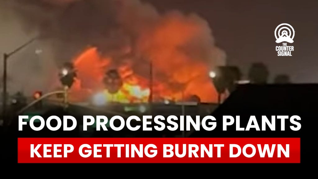 USA food manufacturing plants destroyed.