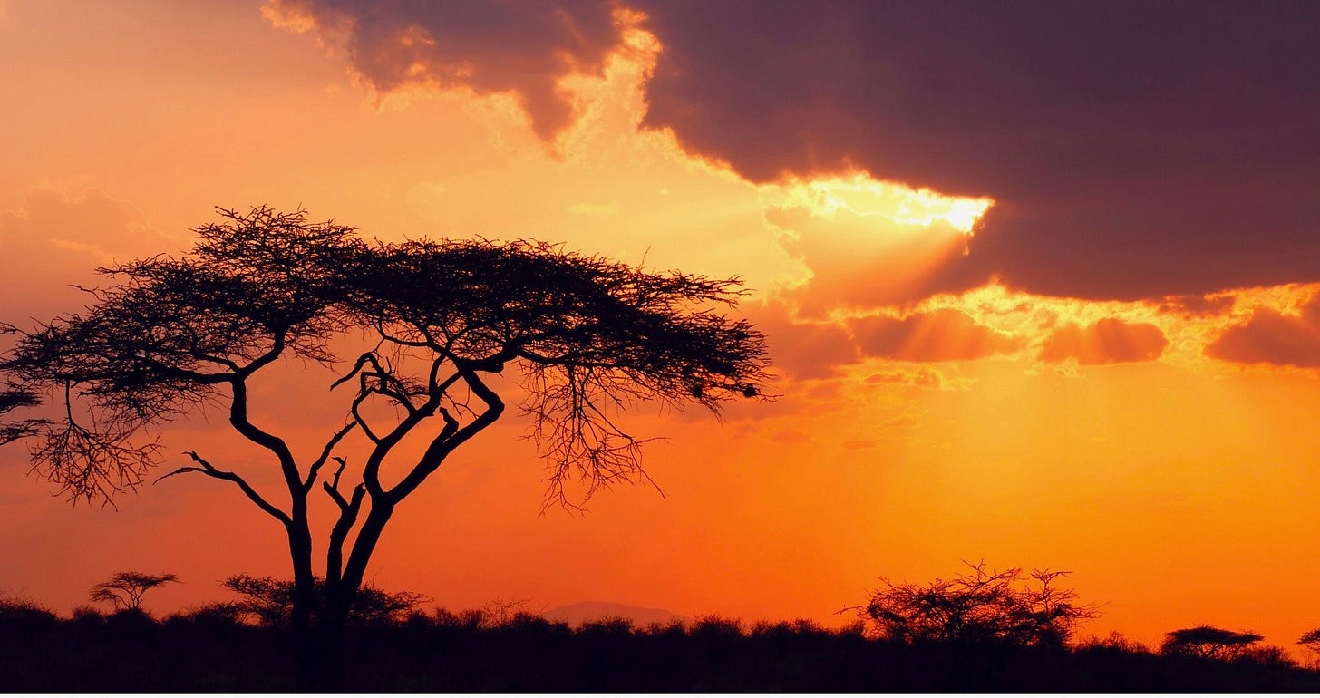 A Brief Review Of The History Of Economic Development In Africa Nigeria
