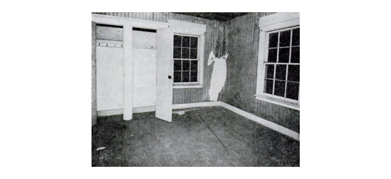 The Werewolf of Wisteria Cottage - ColdConnecticut