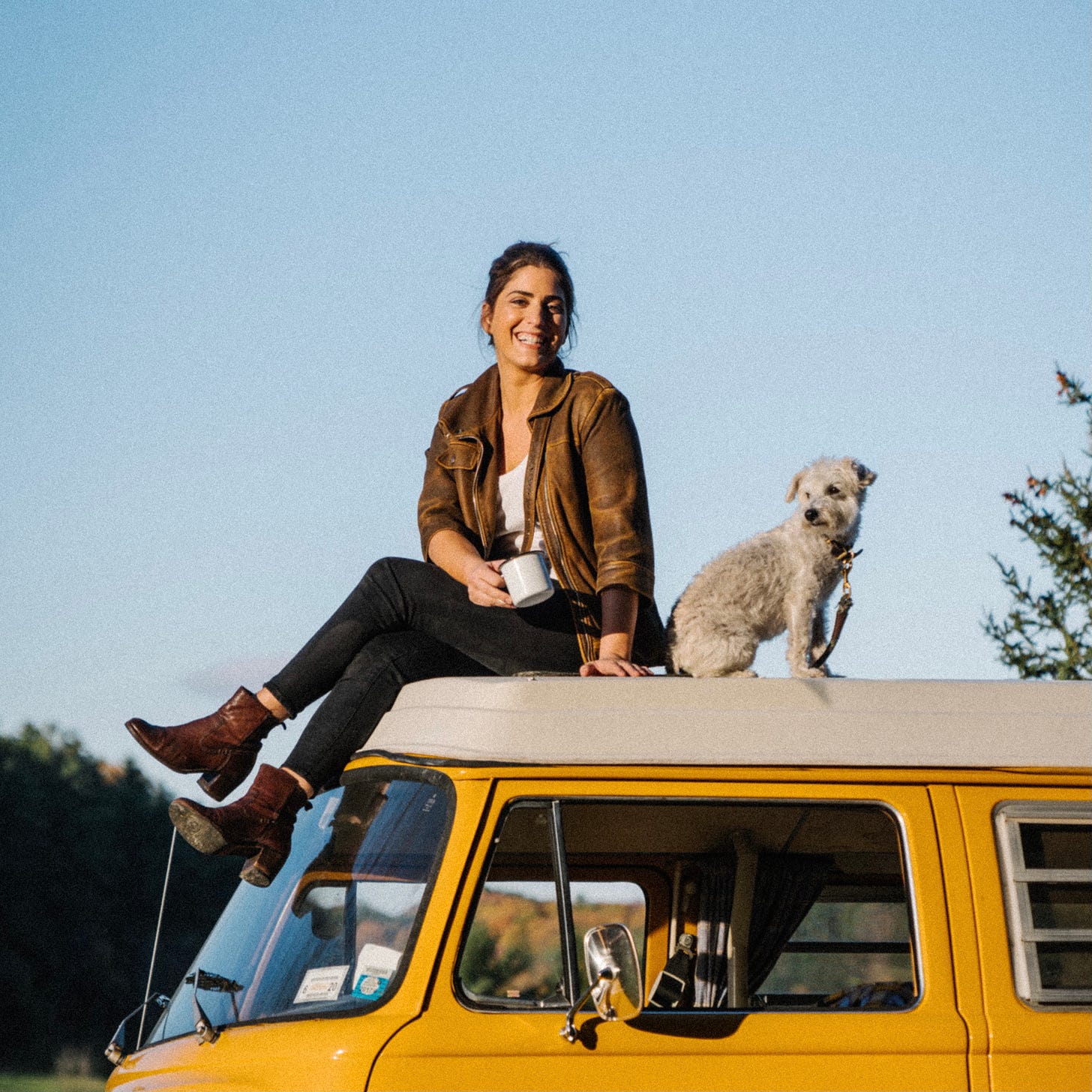 About The Isolation Journals with Suleika Jaouad