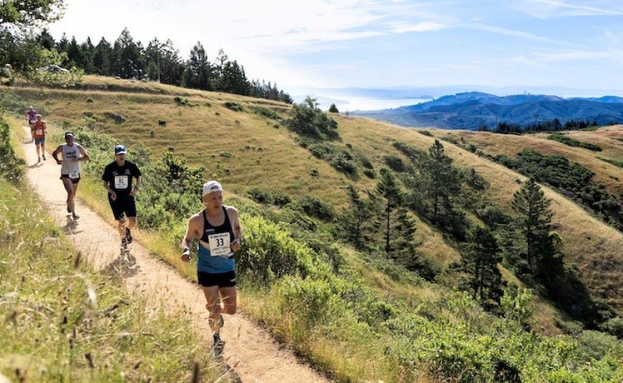 Dipsea by Terrell Johnson The Half Marathoner