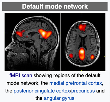 Imaging Study Compares Effects Of Psilocybin Vs SSRI On Brains Of imaging-study-compares-effects-of-psilocybin-vs-ssri-on-brains-of