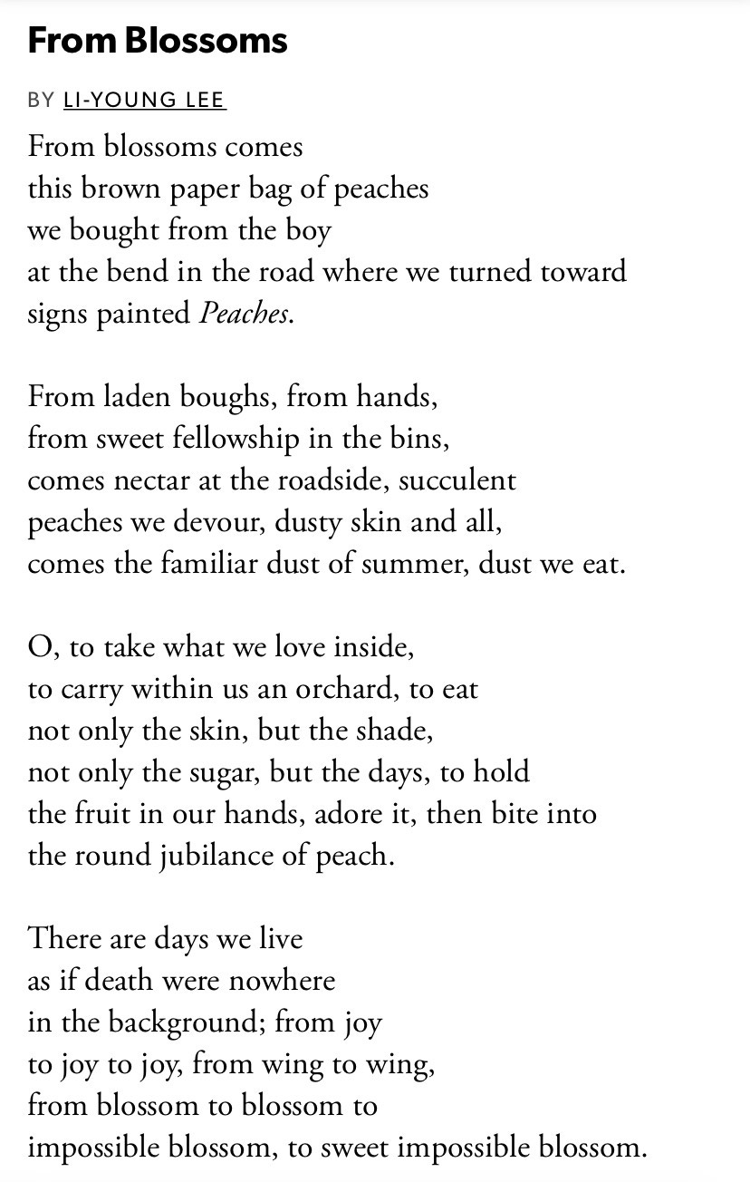 Happy Birthday, LiYoung Lee! by Catherine Lent