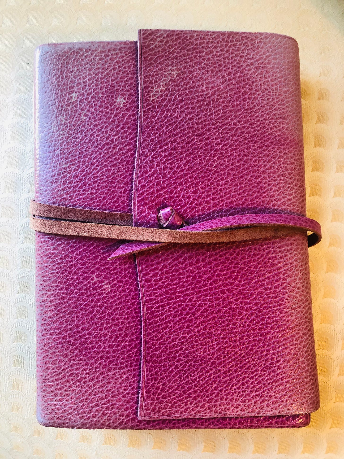 12-ways-to-use-a-diary-by-jillian-hess-noted