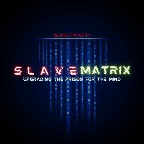 Introduction To The Slave Matrix