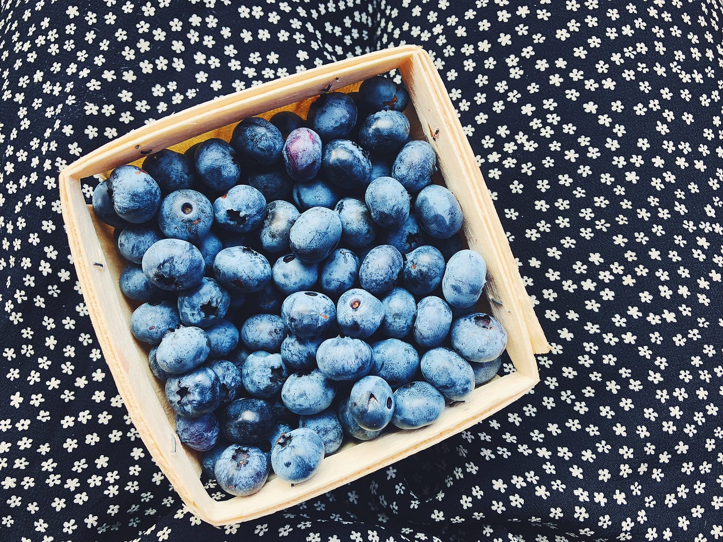 blueberry cornmeal tart by Alison Roman a newsletter