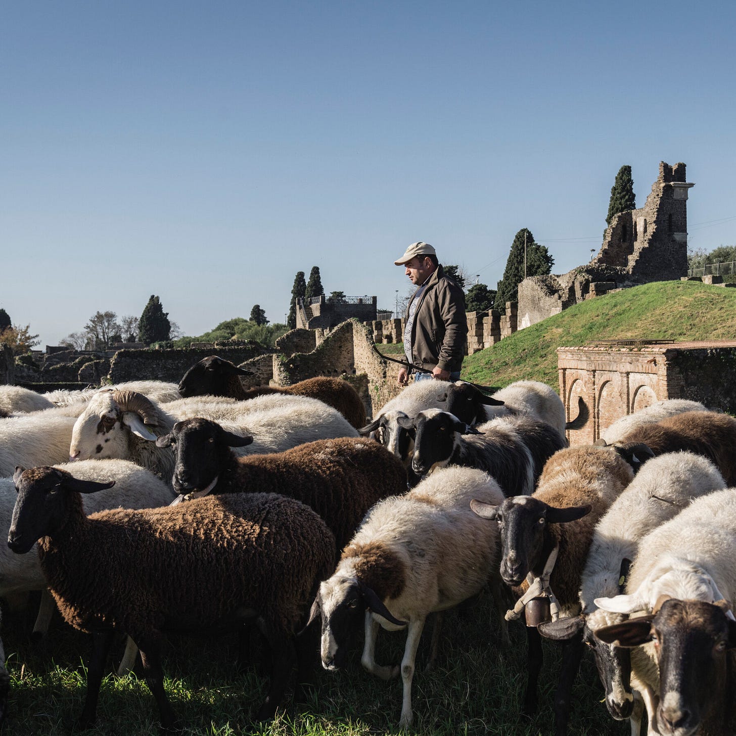 "Together With You" by Benjamin Wittes Dog Shirt Daily