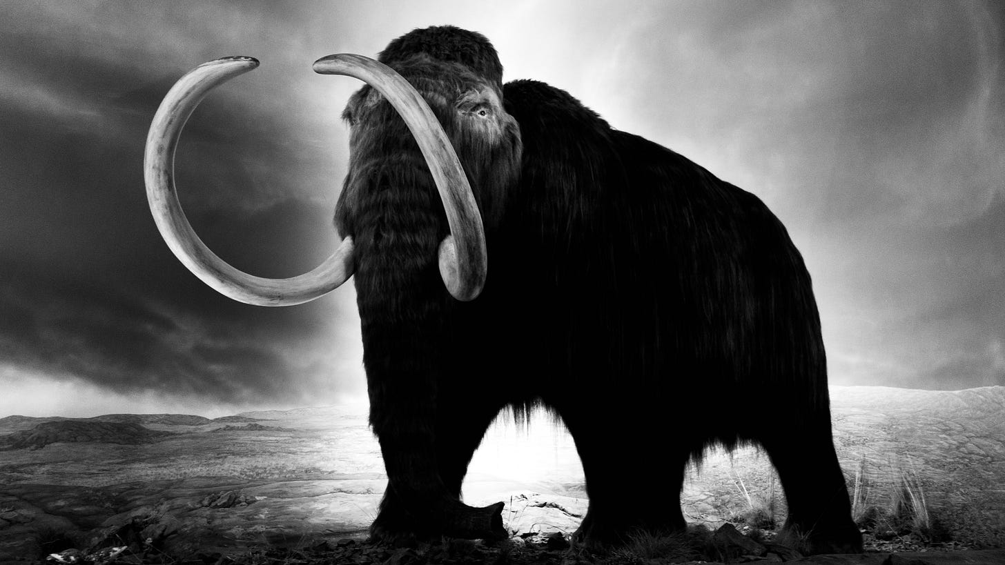 Why Mastodon Won t Save Us By Bryan Vartabedian