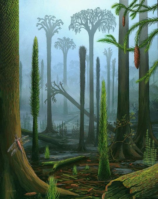 Giant Prehistoric Trees: Fact or Fiction? - by cubsjaw
