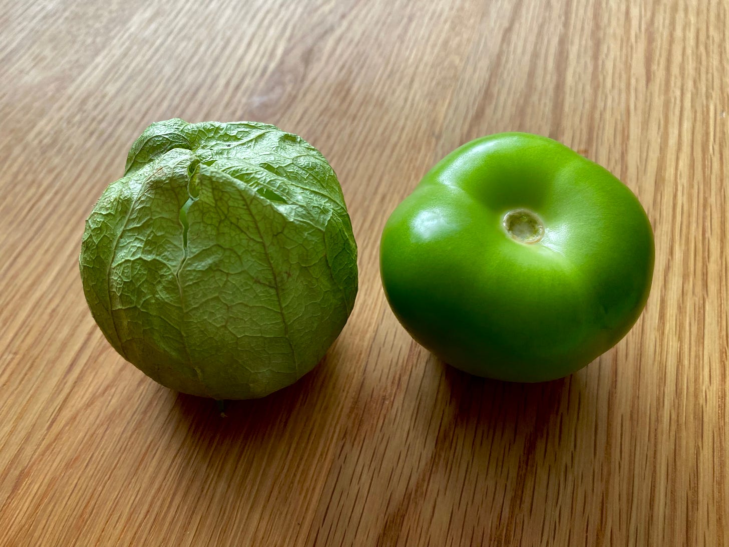 Salsa Lessons Tomatillos by Bad Manners