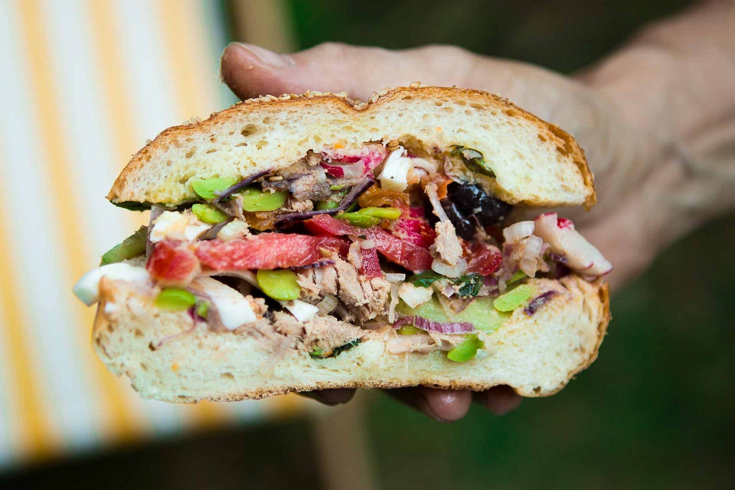 Pan Bagnat David Lebovitz Newsletter