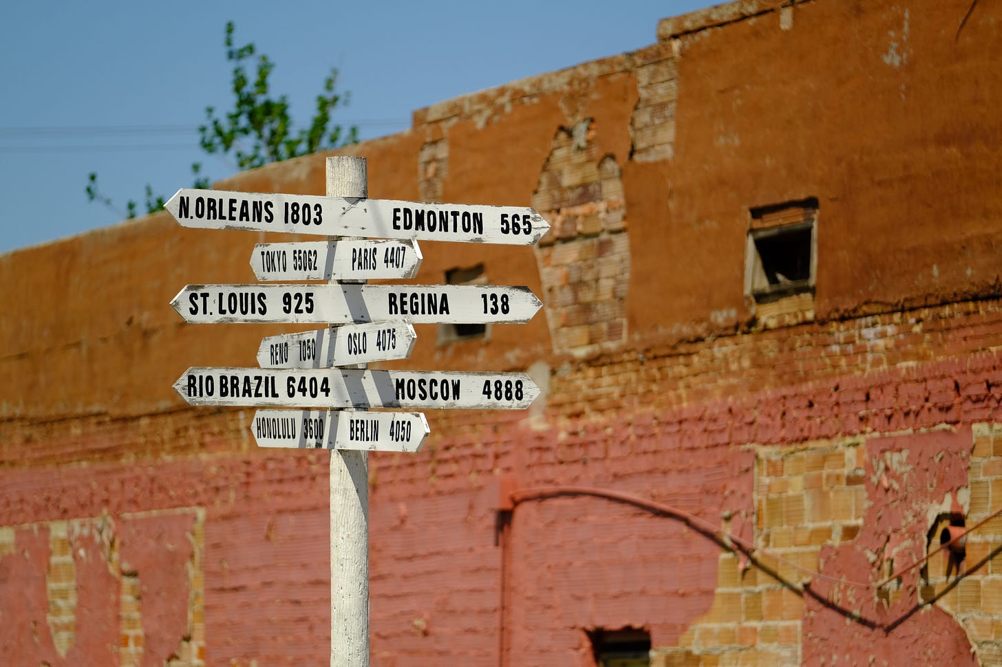 Humble Roots by Erika Bolstad The Windfall Dispatch