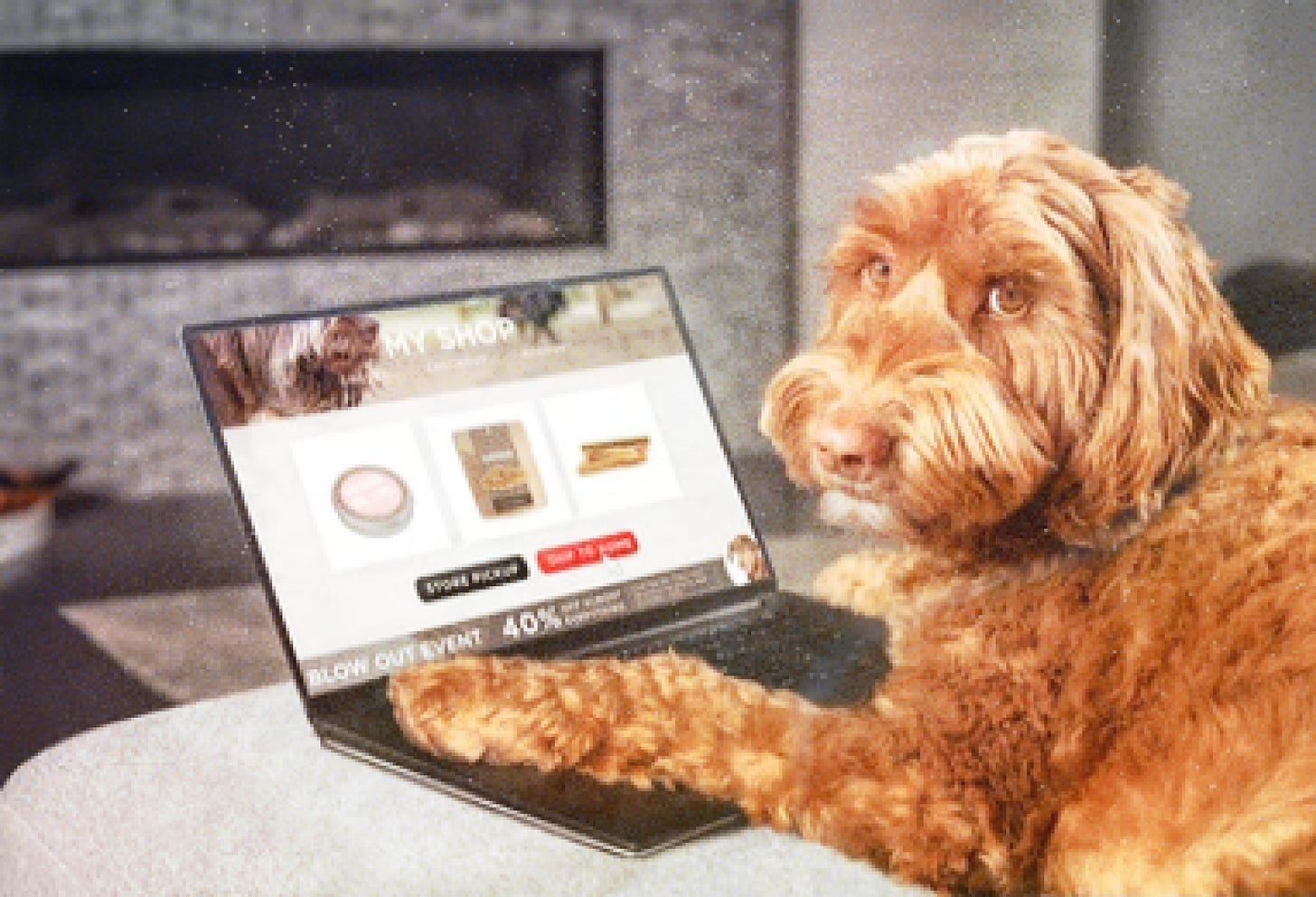 How To Start An Online Pet Store Your StepByStep Guide To Starting A