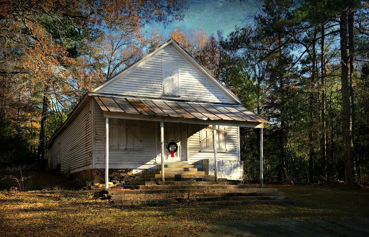 White Oak by Beth Yarbrough Southern Voice