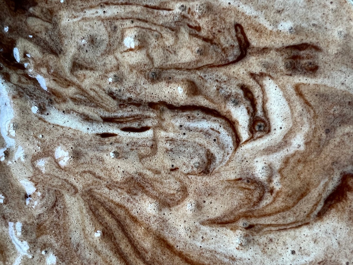 The Best Chocolate Brownies Recipe from Paul Hollywood