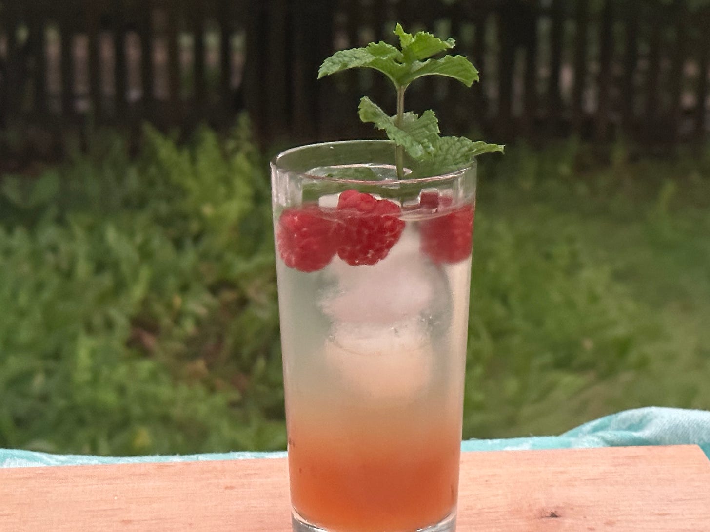 welcome-to-wonkette-happy-hour-with-this-week-s-cocktail-sekanjabin