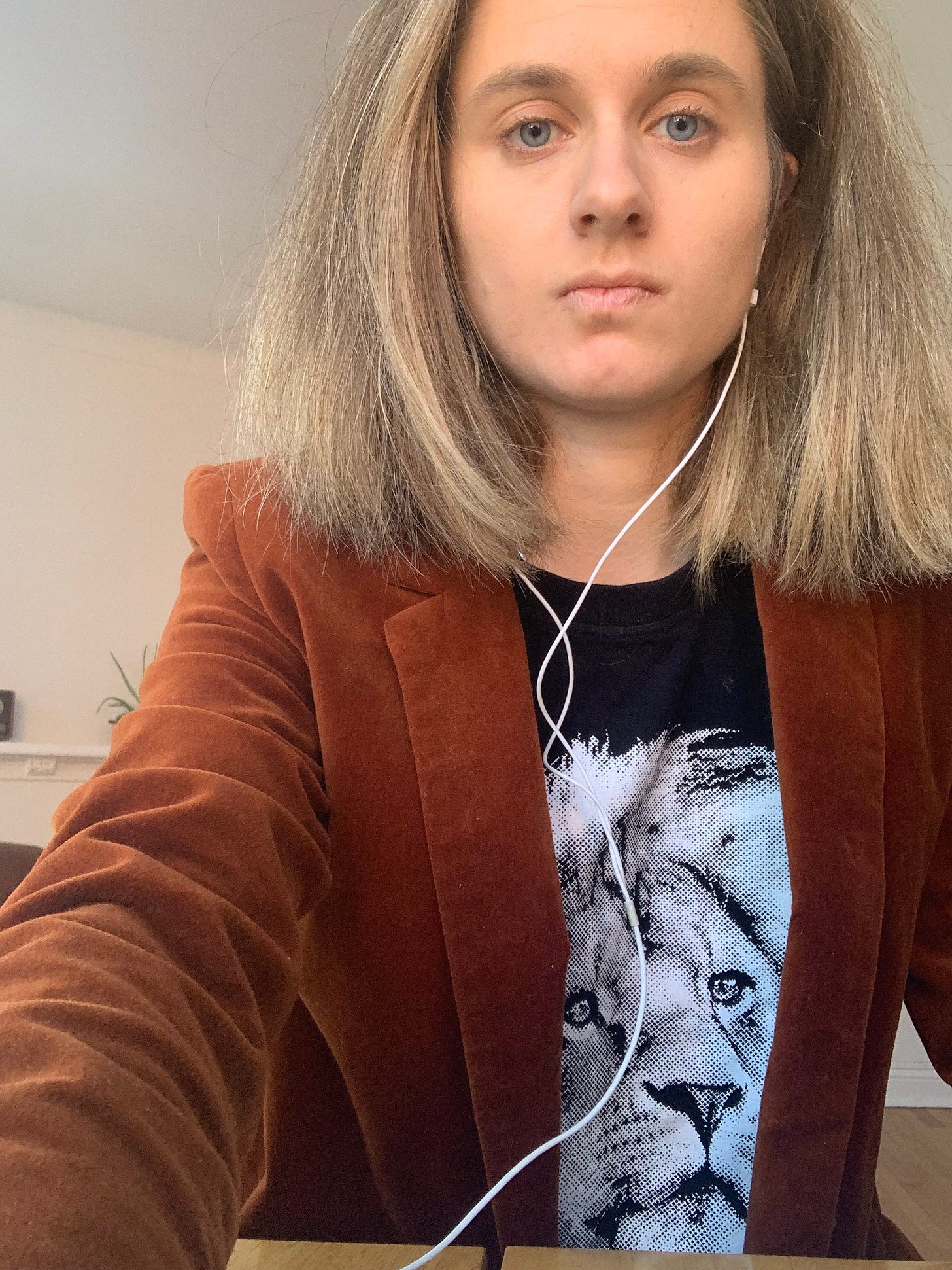 Animal Shirt Chic by Benjamin Wittes Dog Shirt Daily