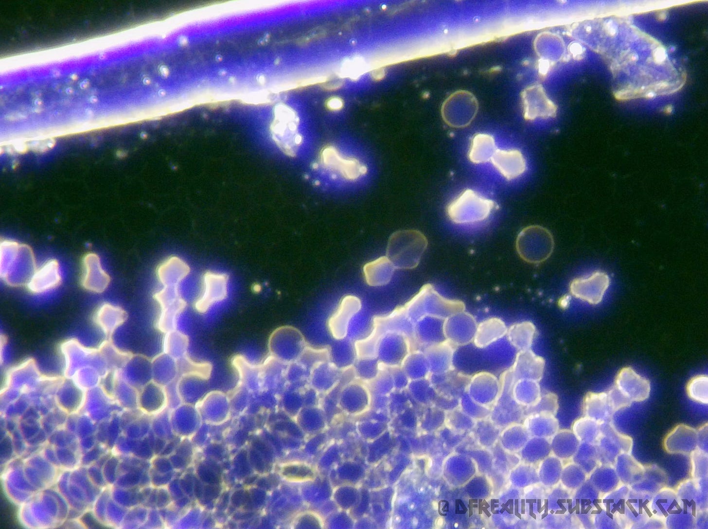 The Forced Evolution of Humanity: FIRST-HAND EVIDENCE of nanotechnology ...