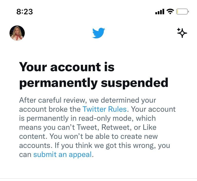 How I got permanently suspended from Twitter