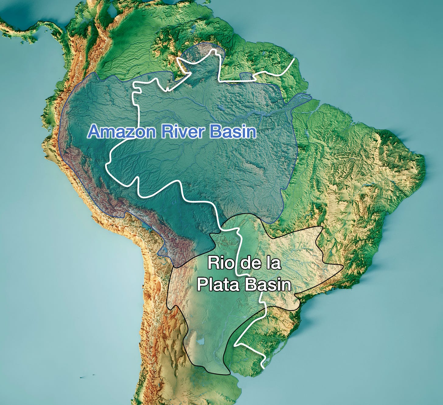 The Amazon Rainforest by Tomas - 07af73e6 F87b 495c A75f 94db35683d24 1600x1463