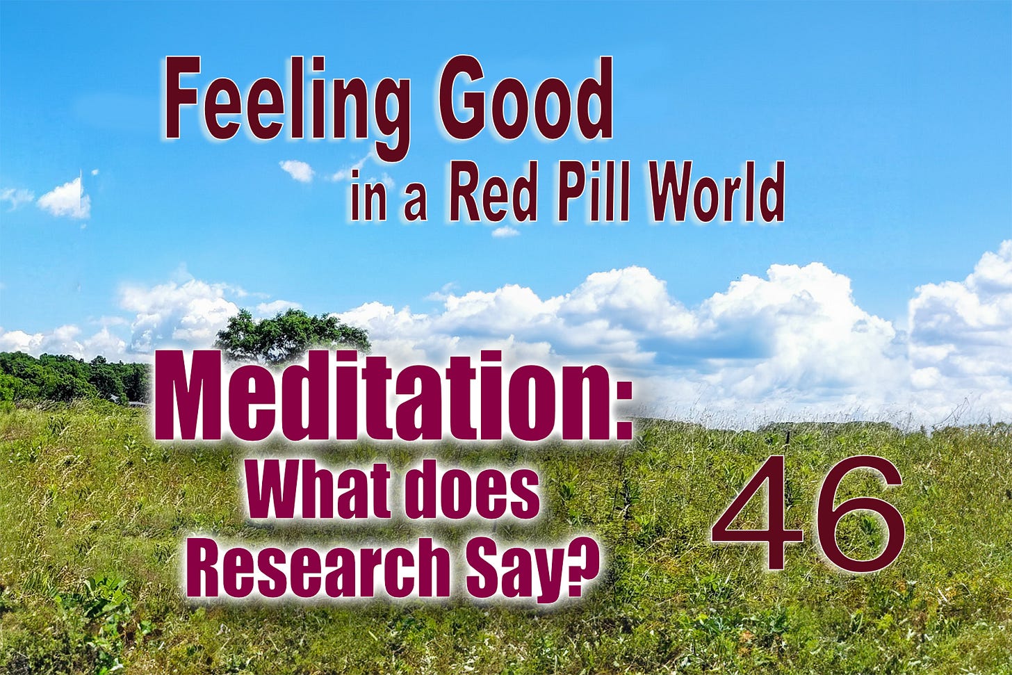 Feeling Good in a Red Pill World 46 Meditation, What does Research Say?