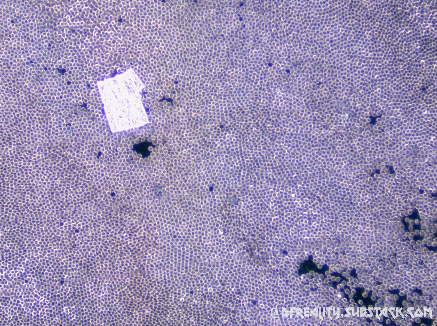 The Forced Evolution of Humanity: FIRST-HAND EVIDENCE of nanotechnology ...