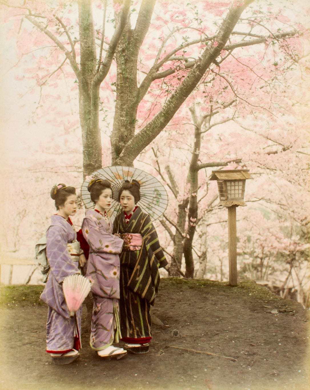 【一部予約販売】 Japan Old of Photographs - Cosmographia - Rothwell E. M. by 絵画