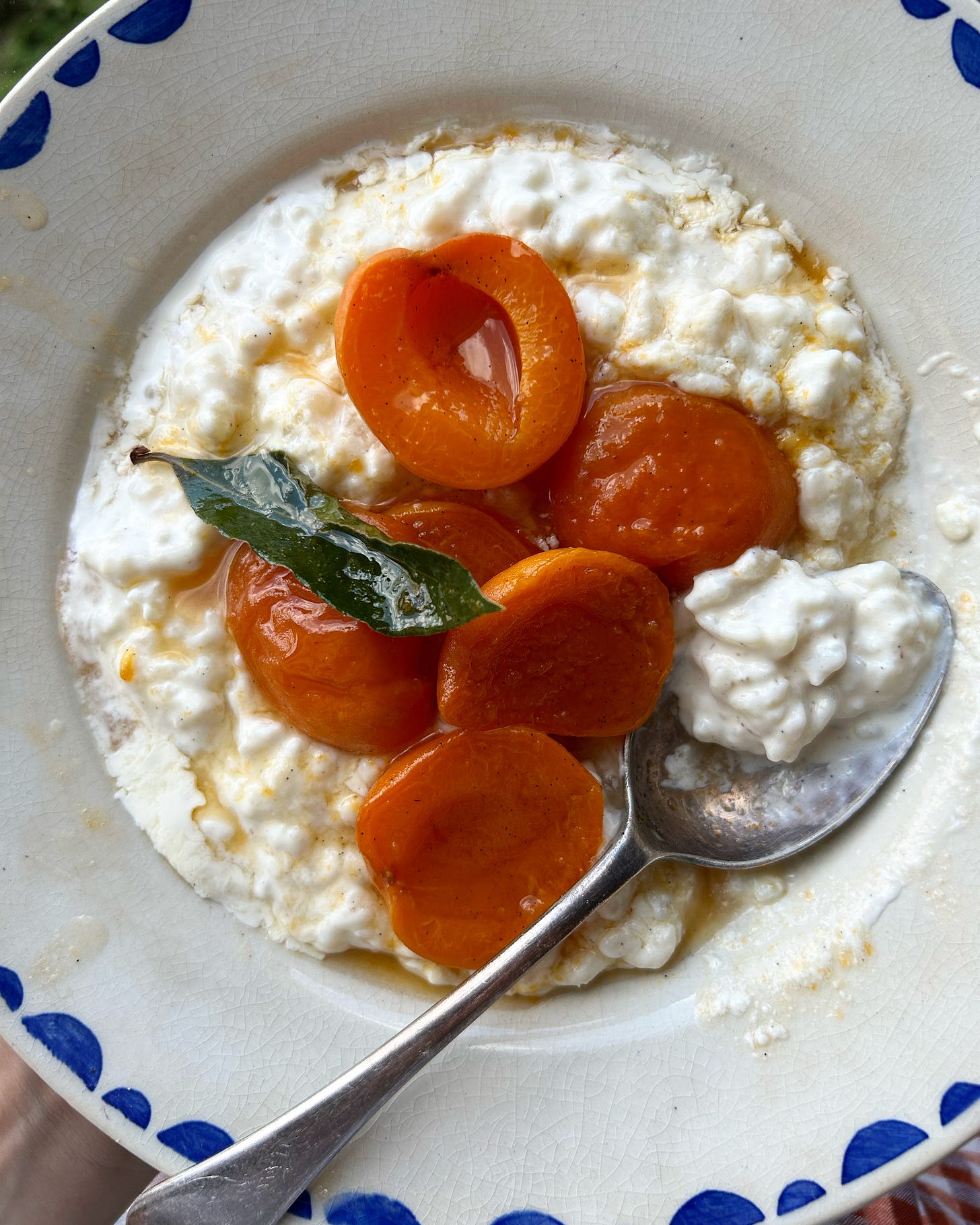 RICE PUDDING WITH STONE FRUIT AND A SUMMER FRUIT CRISP