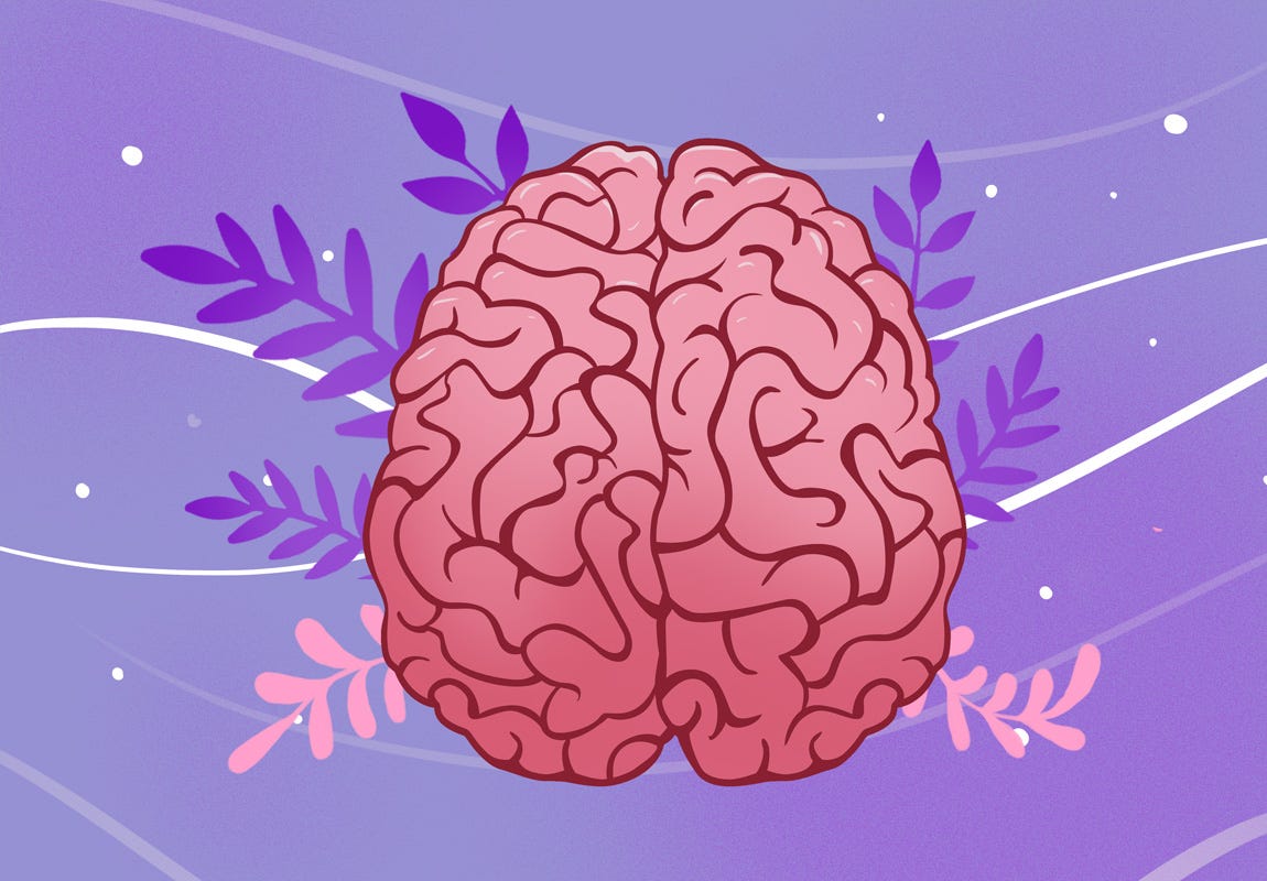 Parts of Brain The Scando Review