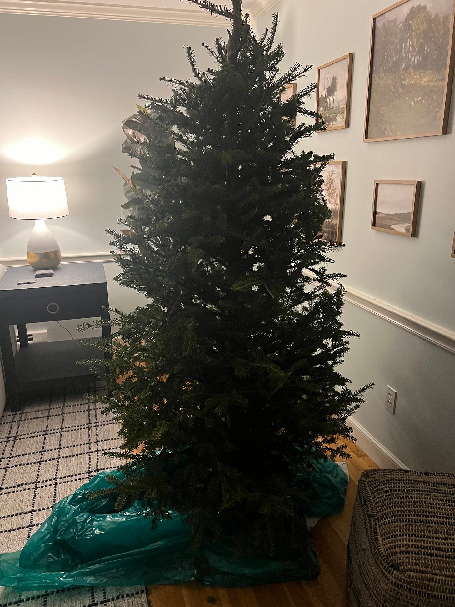 Taking Down the Christmas Decorations by Kimberly Kearns