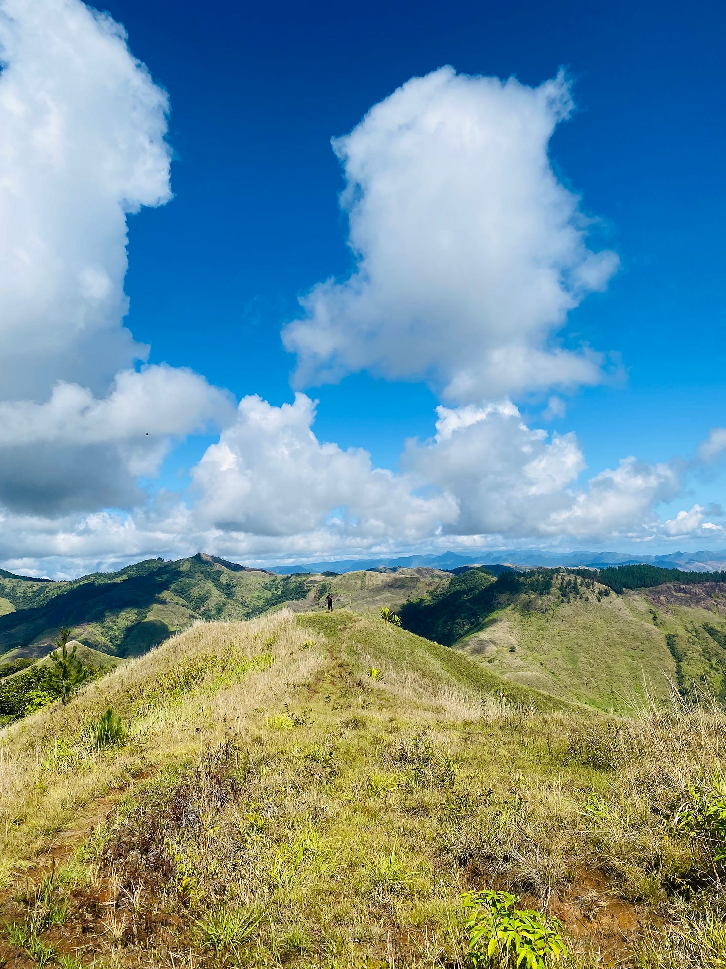 White Saviorism in International Development