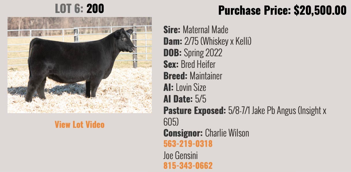 Bred on sale 6 219