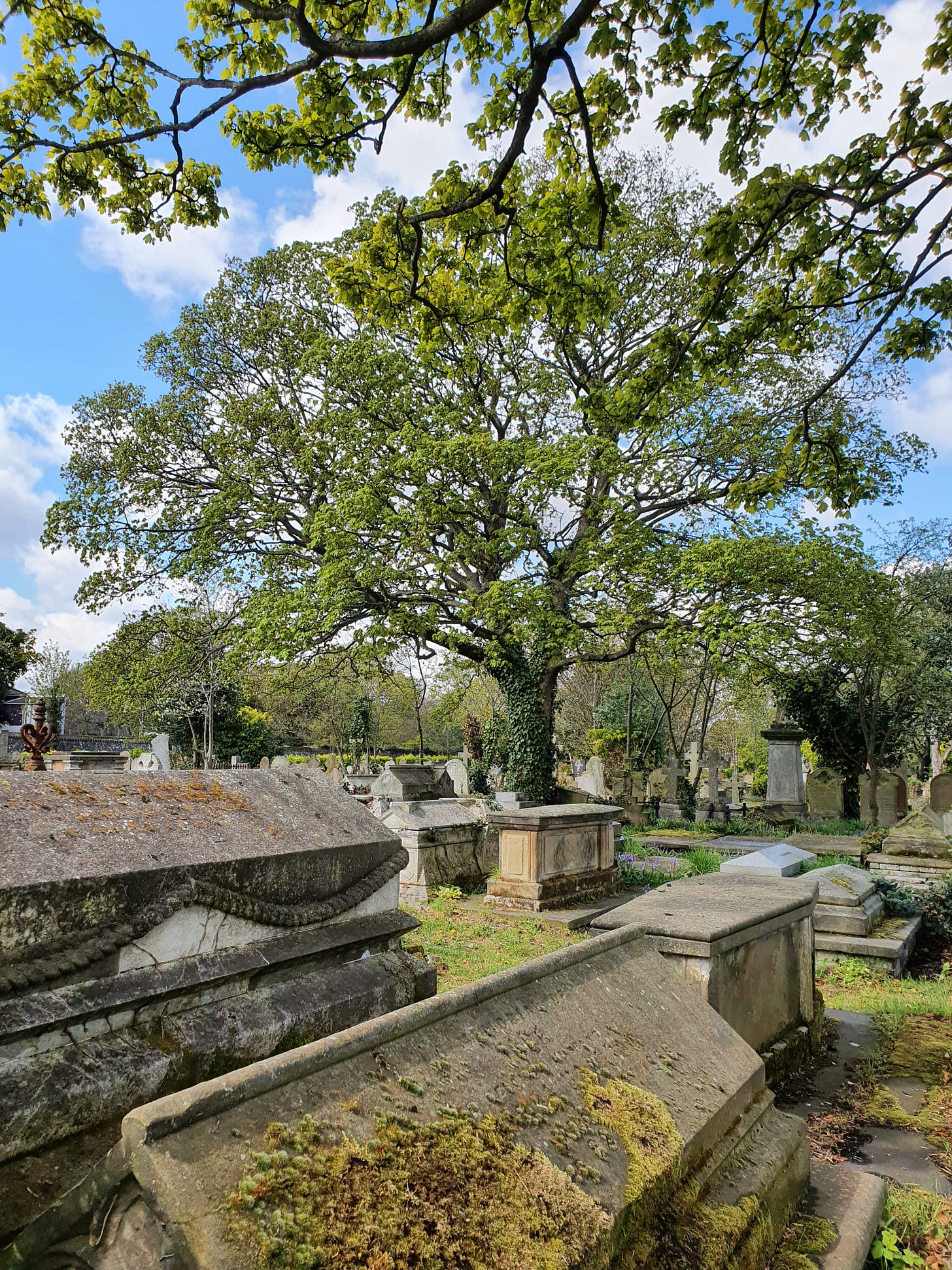 A cursed mummy at Great Yarmouth