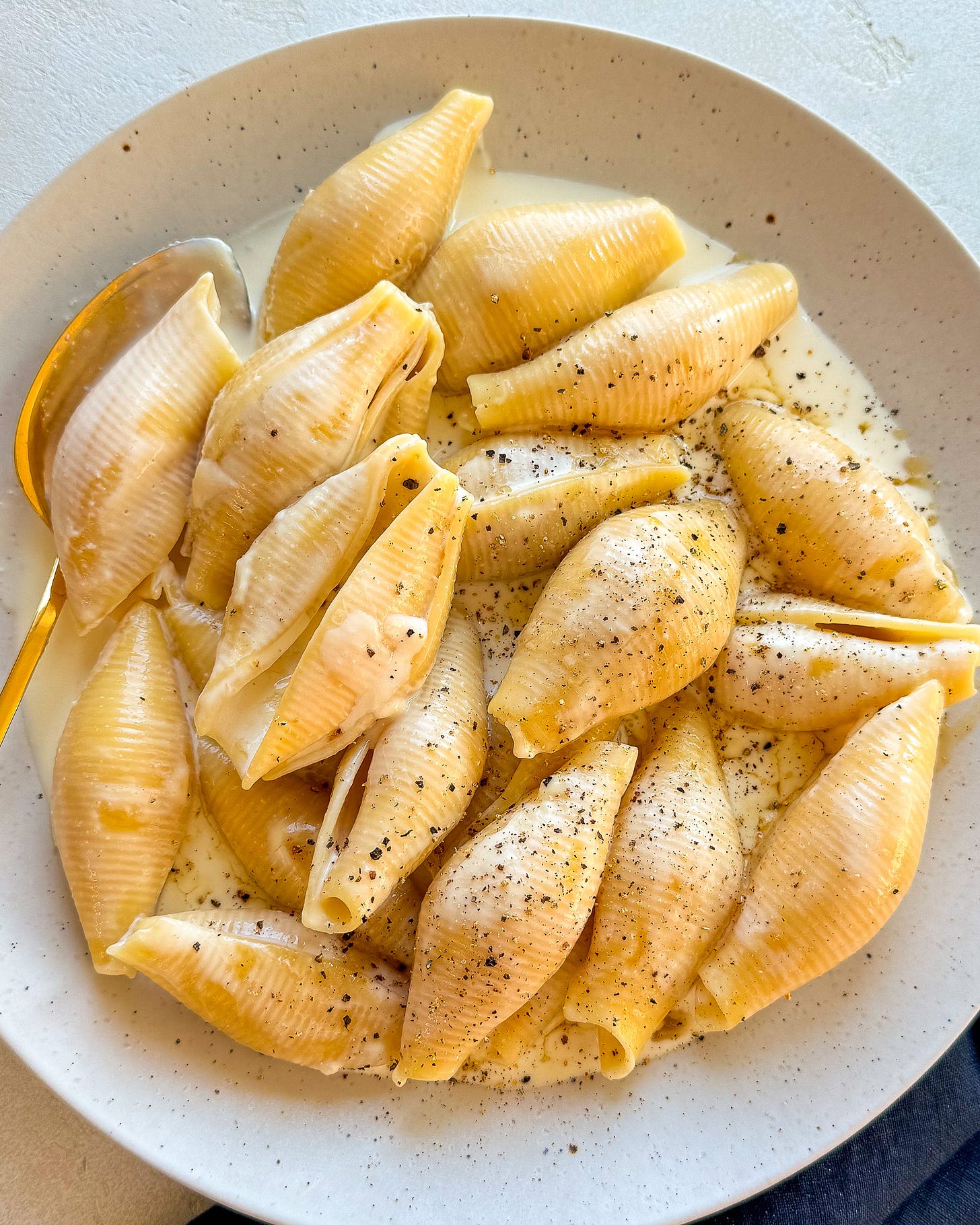 very cheesy, sorta fancy big shells - by Meryl Feinstein