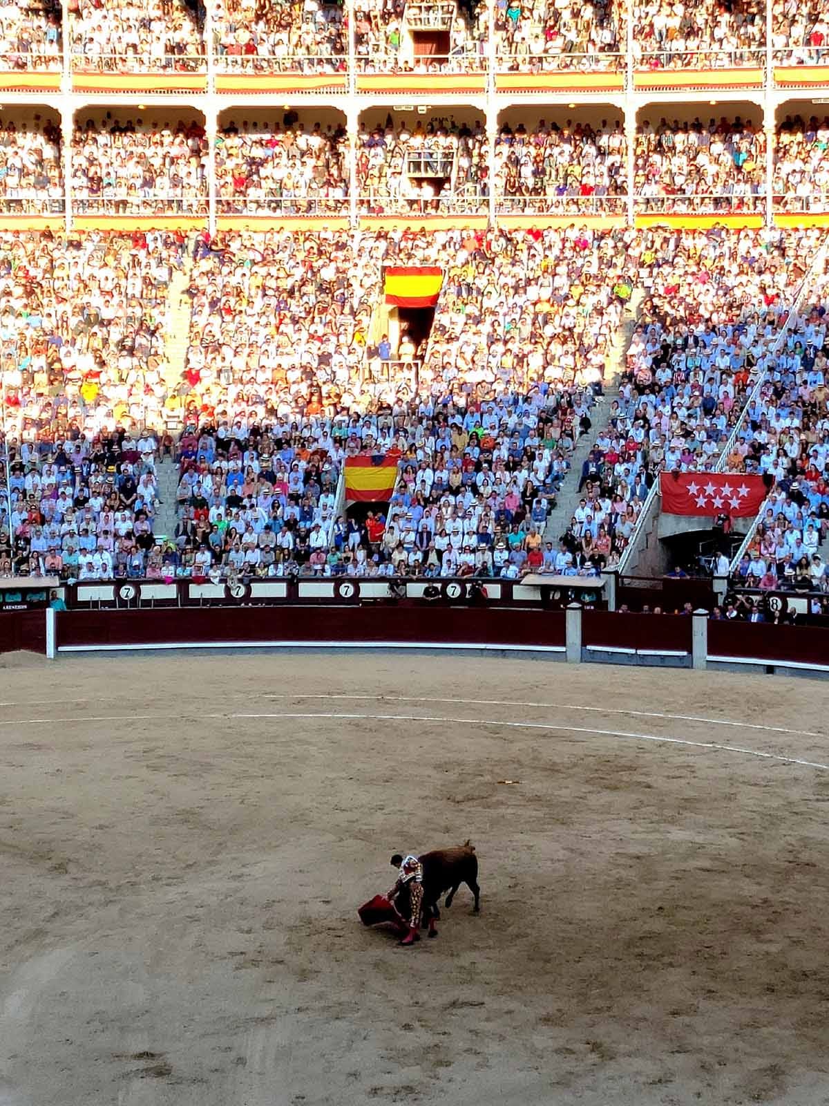 The Bullfight by Hank Shaw To The Bone