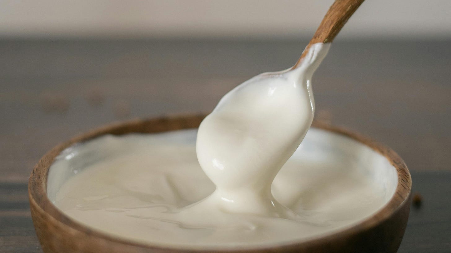 Plain Greek Yogurt vs Sour Cream by Kate
