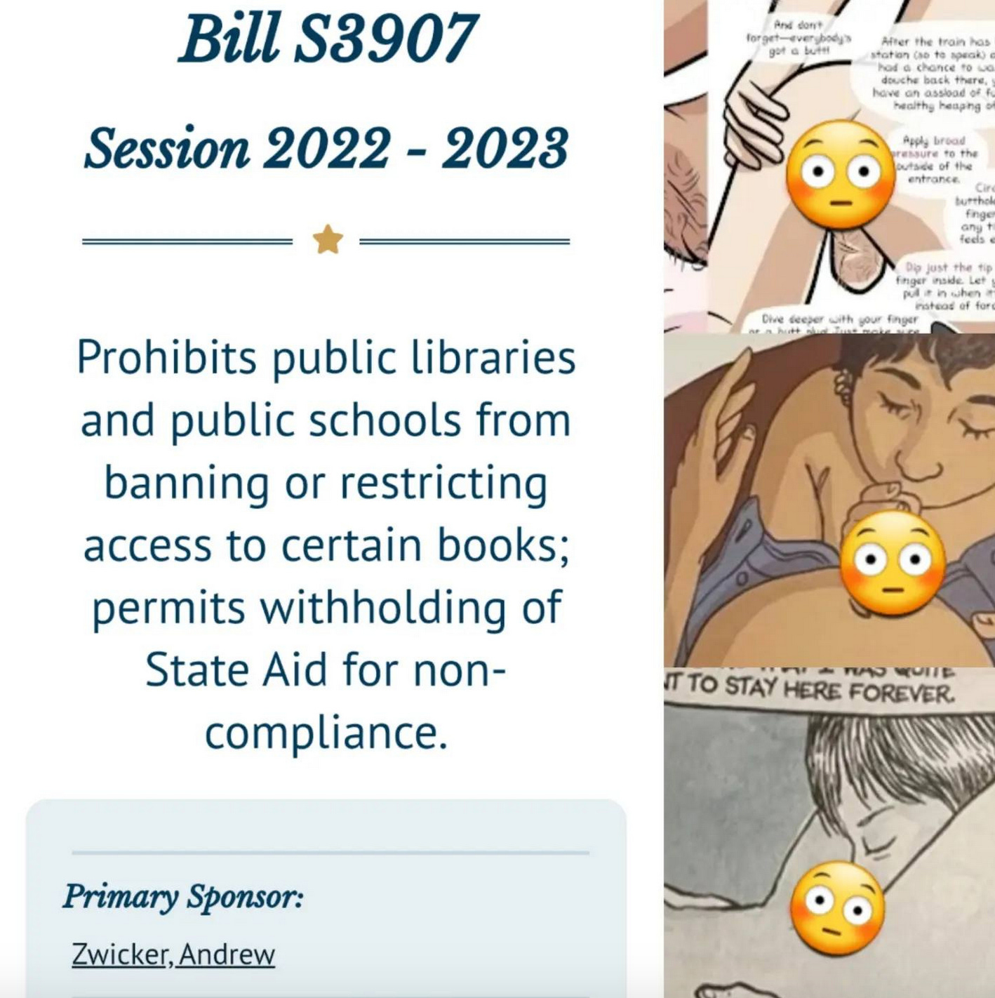 TikTok vs. NJ State Which Does the Most Damage to Children?