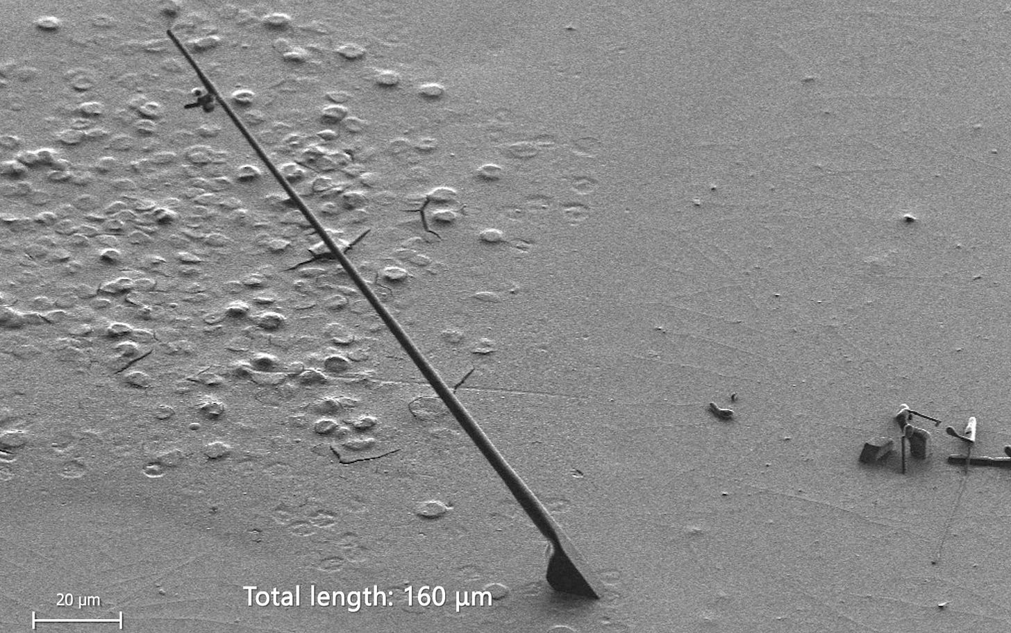 妊娠中に必要な予防接種は何ですか?