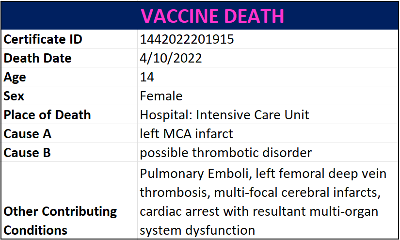 Vermont had double the number of fatal cardiac arrests in 2022 compared to the pre pandemic average | health Vermont had double the number of fatal cardiac arrests in 2022 compared to the pre pandemic average | health