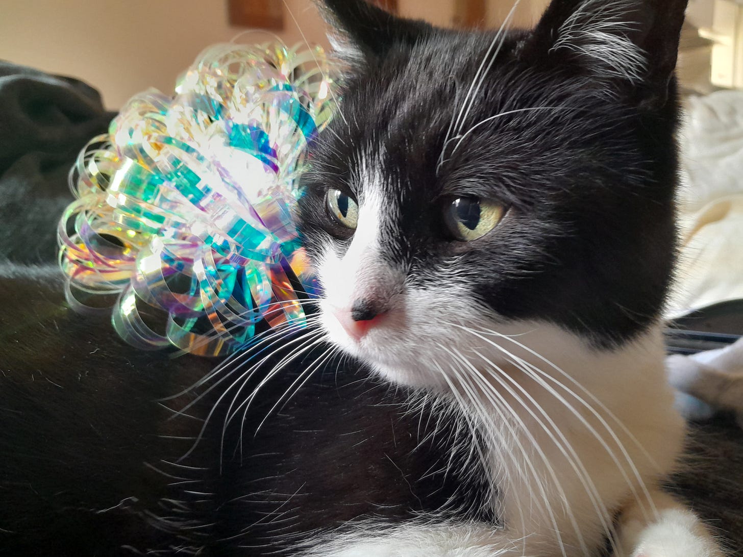 Happy New Year's Eve Eve!