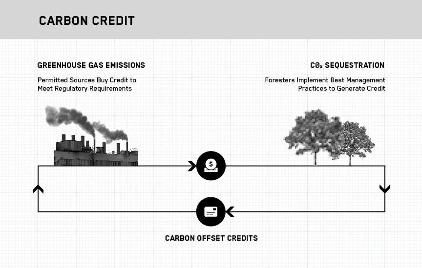 Are Carbon Capture Decarbonization Incentives Changing the Future of ...