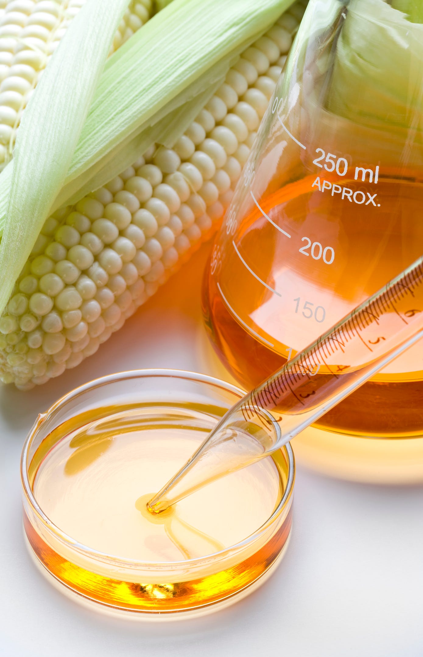【セール】 Not is Syrup Corn Fructose High a Assassin Store Grocery その他