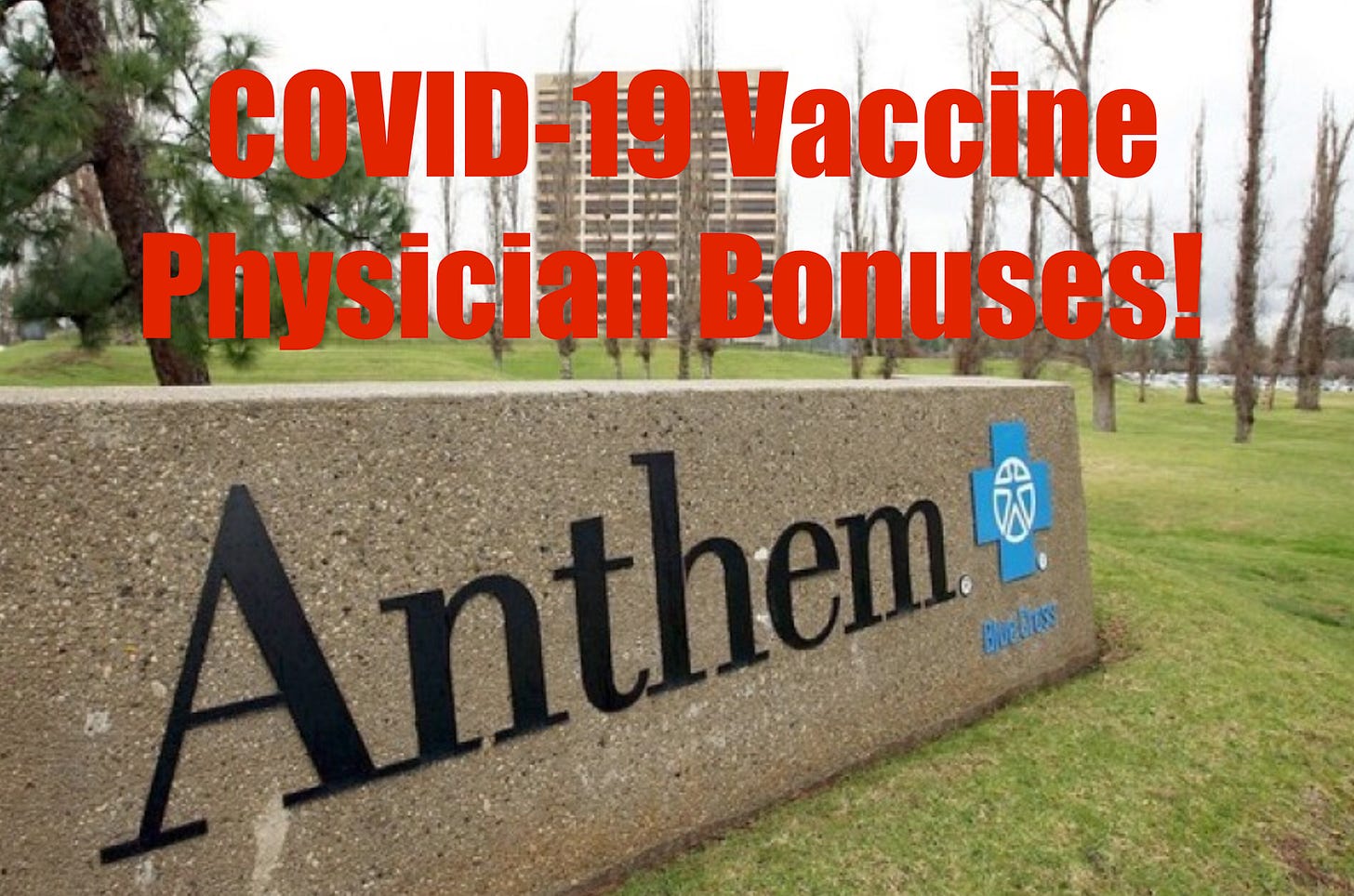 Provider Incentives Vaccine Provider Incentive Program: – The Burning Platform