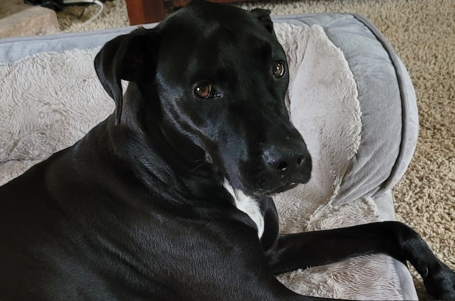 Wonkette’s Top Ten Stories Of The Week Are Exciting And New!