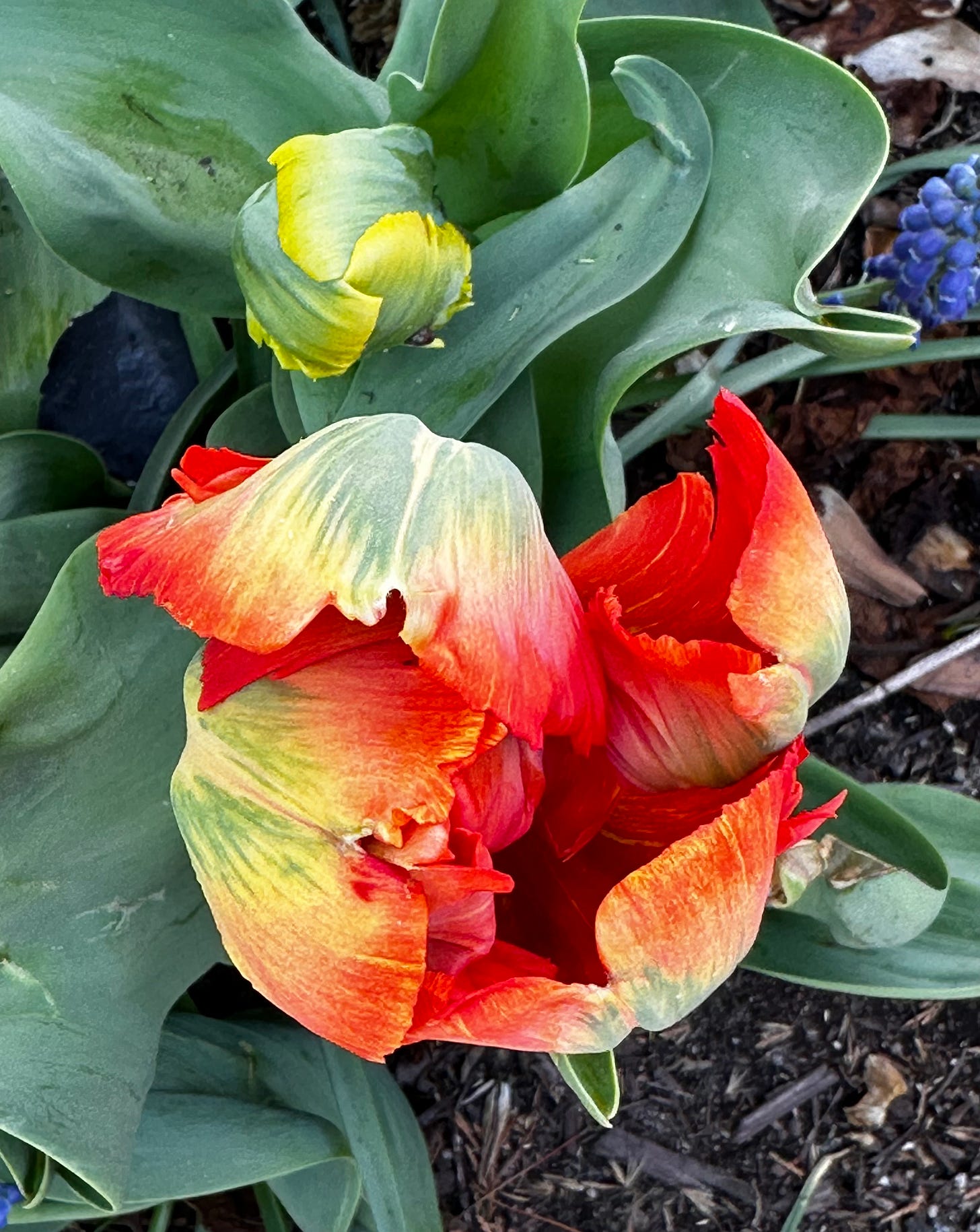 SJ Rozan Awardwinning author S.J. Rozan