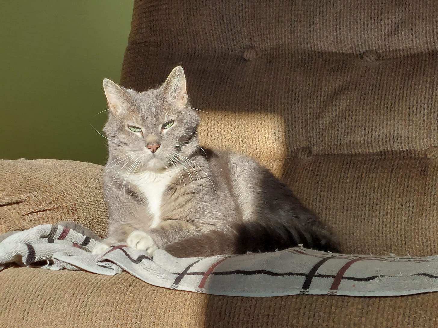 Happy Weekend! Have You Sacrificed Your Cheese Today?