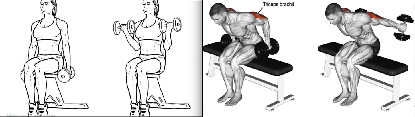 Biceps triceps same hotsell day