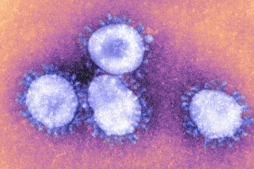 The patients immune system failed to produce enough white blood cells or antibodies to combat the virus despite receiving the vaccine multiple times.
